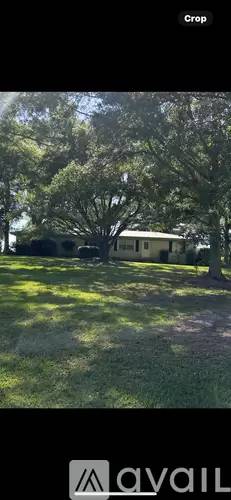 Main picture of 393 Niemeyer Rd