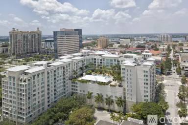 Main picture of CITY PALMS