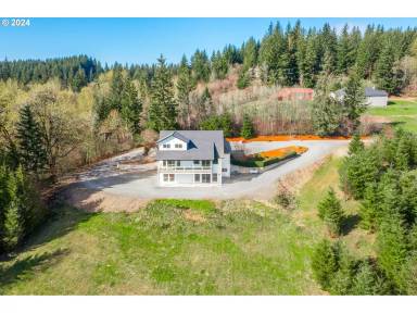 Main picture of 38206 NE 172nd Ave