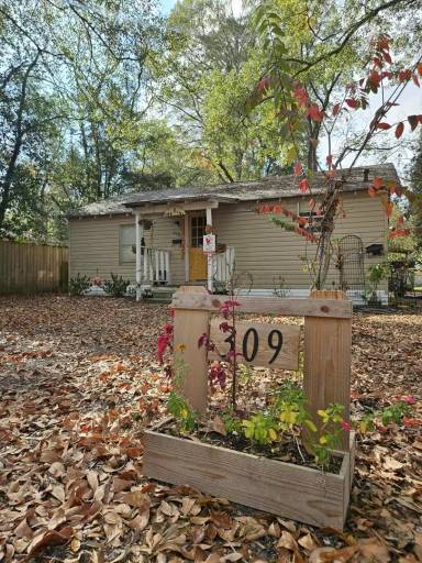 Main picture of 309 Pecan St