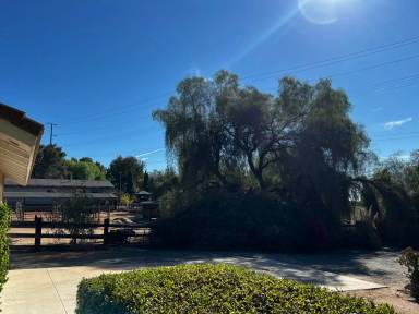 Main picture of 15051 Pauls Ln