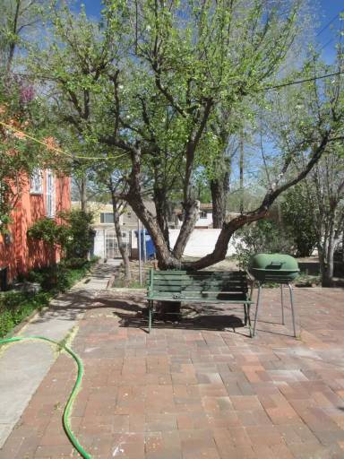 Main picture of 1004 Girard Blvd NE