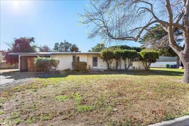 Main picture of Alameda Point