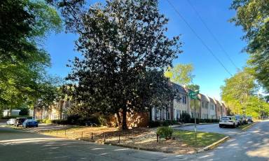 Main picture of 248 Prince Ave