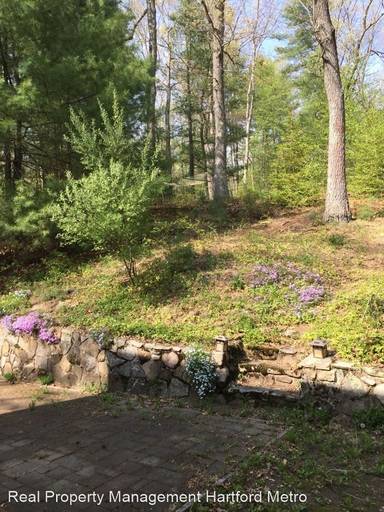 Main picture of 164 Weir St