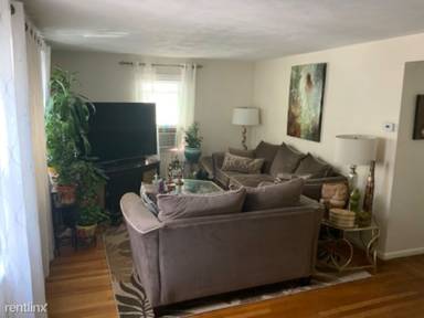 Main picture of 21 Palmer St