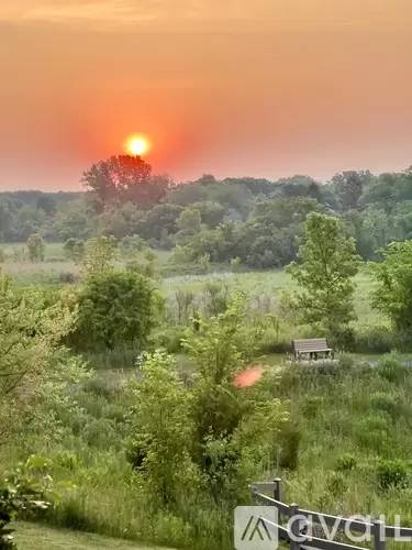 Main picture of 0N069 Preserve Ct