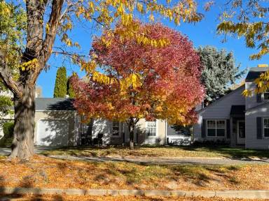 Main picture of 11 Moselle Ct