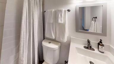 Main picture of Alamo Apartments