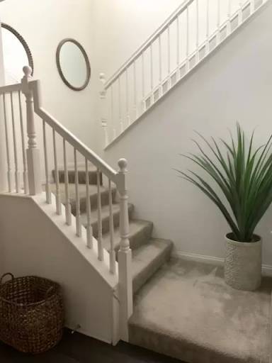 Main picture of 6038 Snapdragon St
