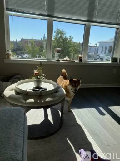 Main picture of Valley and Bloom Apartments
