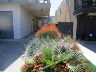 Main picture of 207 W Mariposa