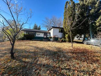 Main picture of 116 Holladay Dr