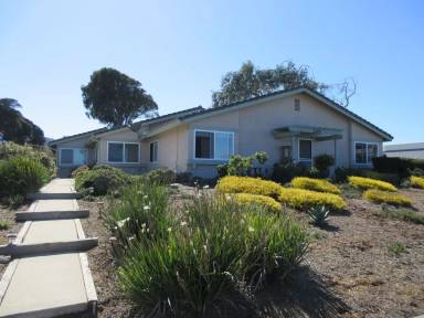 Main picture of 249 Butte Dr