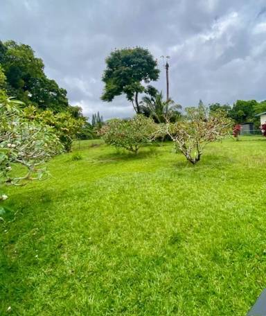 Main picture of 1111B Puuopae Rd