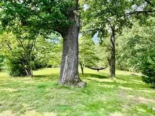 Main picture of 14895 Dutchmans Dr