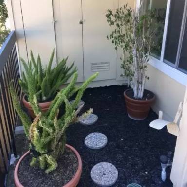 Main picture of 415 Joan Vista St