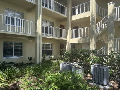 Main picture of Meadow Lake Palm Harbor