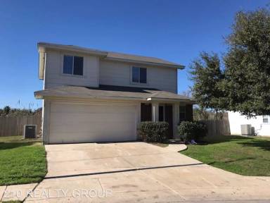 Main picture of 14107 Purple Martin