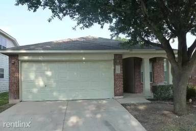 Main picture of 14227 Purple Martin