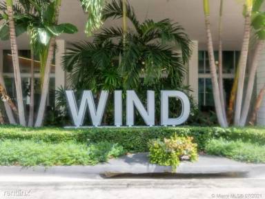 Main picture of The Wind
