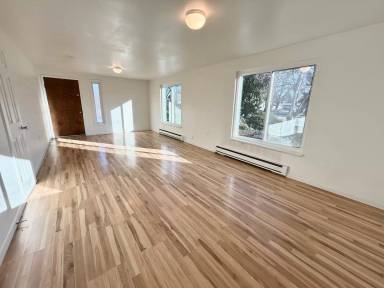Main picture of 1005 S Shoshone St