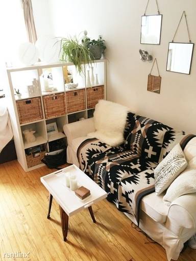 Main picture of 203 Chrystie St
