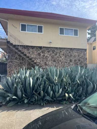 Main picture of 5060 Congress Ave