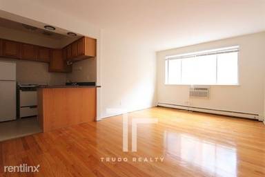 Main picture of 550-60 W Aldine Ave