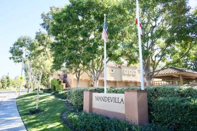 Main picture of Mandevilla