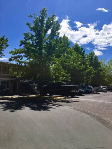 Main picture of 1430 NW Division St