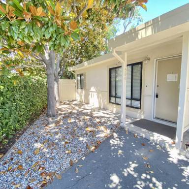 Main picture of 366 Redwood Ave