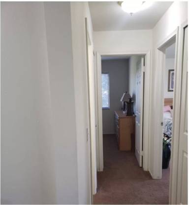 Main picture of Sugartree Apartments