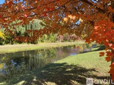 Main picture of Preserve at Wood Creek