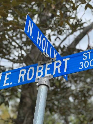 Main picture of 311 E Robert St