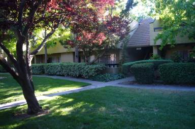 Main picture of 292 Tradewinds Dr