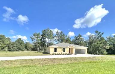 Main picture of 1433 Kissimmee Way
