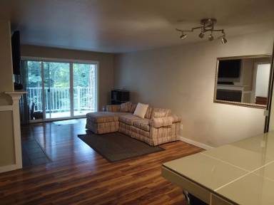 Main picture of The Augusto