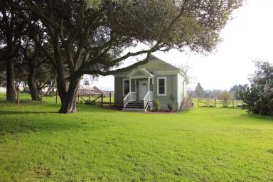 Main picture of 121 McBrown Rd