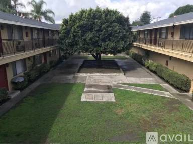 Main picture of 383 Orchid Ln