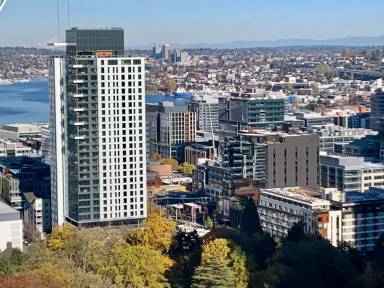 Main picture of Insignia By Bosa