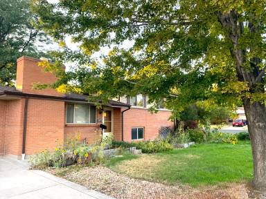 Main picture of 2402 Beech Ct