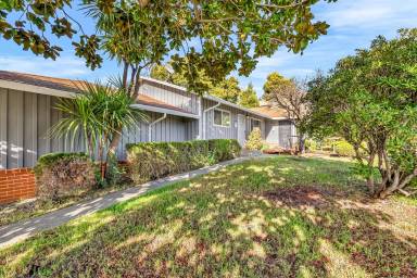 Main picture of 842 Benicia Rd