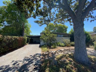 Main picture of 20 Roosevelt Cir
