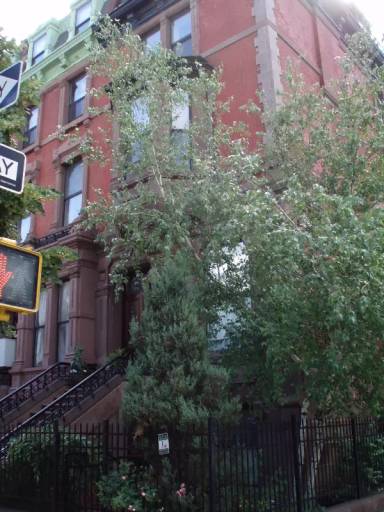 Main picture of 2099 5th Ave