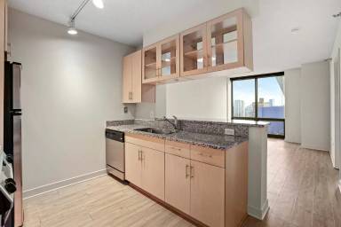 Main picture of 1233 S Michigan Ave
