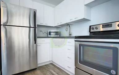Main picture of 1127 S Michigan Ave