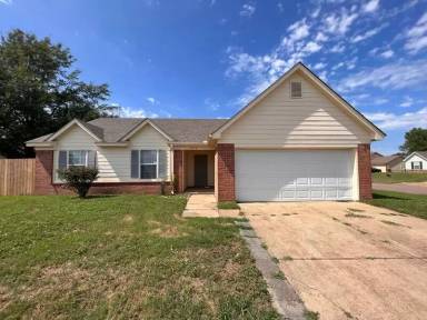 Main picture of 4718 Shadow Bark Cv