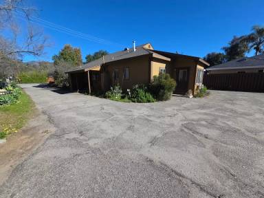 Main picture of 240 Cruzero St