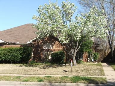 Main picture of 232 Lodge Rd
